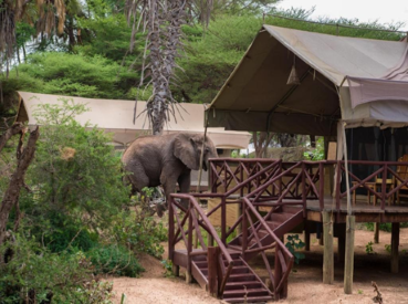 Lion Hill Lodge